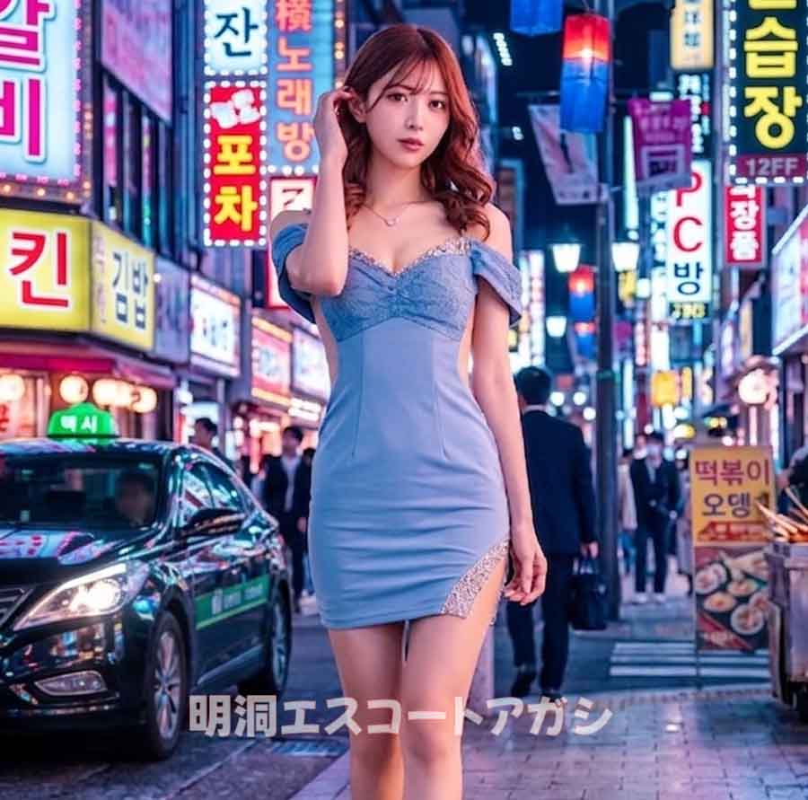 韓国アガシ案内8万円 コース 韓国アガシ案内8万円 コース